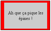 Zone de Texte: Ah que a pique les pines !
